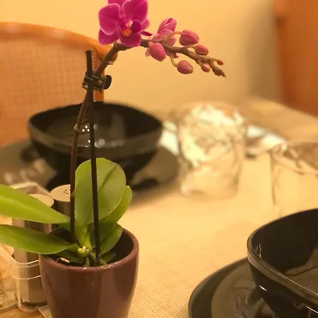 Serenity Bed and breakfast Brescia